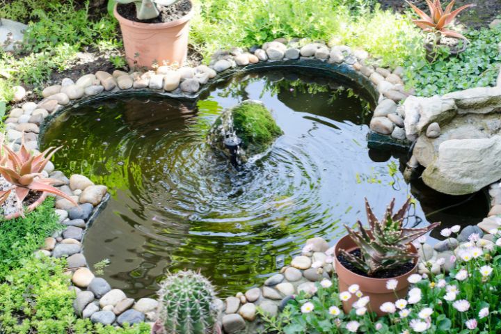 Aesthetically Appealing Water Garden